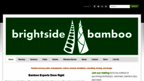 What Brightsidebamboo.com website looked like in 2016 (7 years ago)