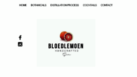 What Bloedlemoengin.com website looked like in 2016 (7 years ago)