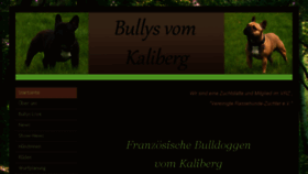 What Bullysvomkaliberg.de website looked like in 2016 (7 years ago)