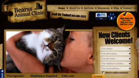 What Bearssanimalclinic.com website looked like in 2016 (7 years ago)