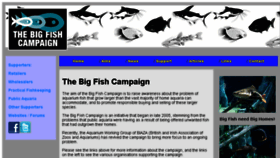 What Bigfishcampaign.org website looked like in 2016 (7 years ago)