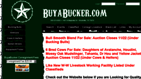 What Buyabucker.com website looked like in 2017 (7 years ago)