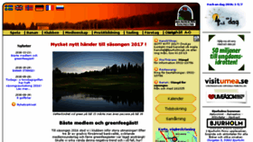 What Bjurholmsgk.se website looked like in 2017 (7 years ago)