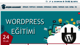 What Bilisimakademisi.com website looked like in 2017 (7 years ago)