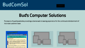 What Budcomsol.com website looked like in 2017 (7 years ago)