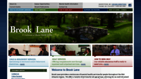 What Brooklane.org website looked like in 2017 (7 years ago)