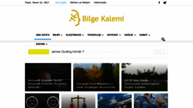 What Bilgekalemi.com website looked like in 2017 (7 years ago)