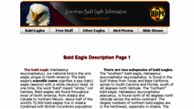What Baldeagleinfo.com website looked like in 2017 (6 years ago)