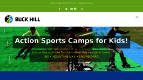 What Buckhill.com website looked like in 2017 (6 years ago)