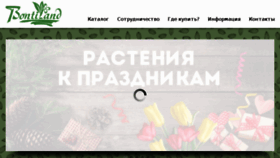 What Bontiland.ru website looked like in 2017 (7 years ago)