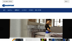 What Bauerfeind.com.cn website looked like in 2017 (6 years ago)