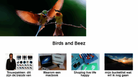 What Birdsandbeez.nl website looked like in 2017 (7 years ago)