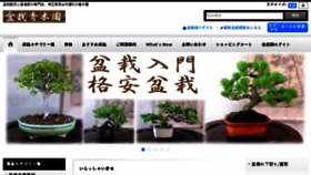 What Bonsai-aokien.com website looked like in 2017 (7 years ago)