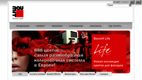 What Baumit.ru website looked like in 2017 (8 years ago)