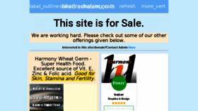 What Bhadrachalam.co.in website looked like in 2017 (7 years ago)