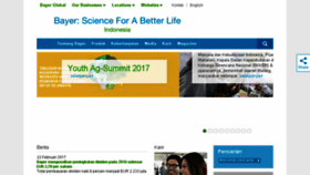 What Bayer.co.id website looked like in 2017 (6 years ago)