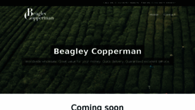 What Beagleycopperman.com website looked like in 2017 (6 years ago)