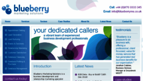 What Blueberryms.co.uk website looked like in 2017 (6 years ago)