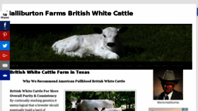 What Britishwhite.com website looked like in 2017 (6 years ago)