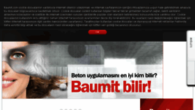 What Baumit.com.tr website looked like in 2017 (6 years ago)
