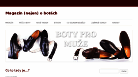 What Botypromuze.cz website looked like in 2017 (6 years ago)