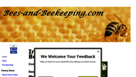 What Bees-and-beekeeping.com website looked like in 2017 (6 years ago)