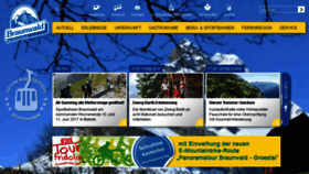 What Braunwald.ch website looked like in 2017 (6 years ago)