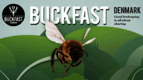 What Buckfast.dk website looked like in 2017 (6 years ago)