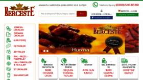 What Berceste.com.tr website looked like in 2017 (6 years ago)