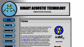 What Binaryacoustictech.com website looked like in 2017 (6 years ago)