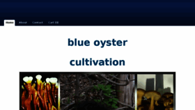 What Blueoystercultivation.com website looked like in 2017 (6 years ago)