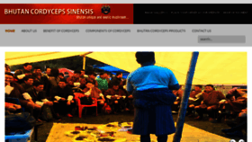What Bhutanwildcordyceps.com website looked like in 2017 (6 years ago)