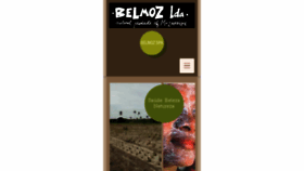 What Belmoz.com website looked like in 2017 (6 years ago)