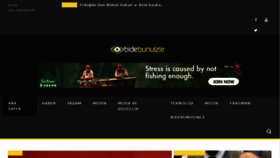 What Bidebunuizle.com website looked like in 2017 (6 years ago)