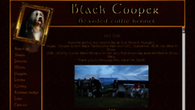 What Blackcooper.eu website looked like in 2017 (6 years ago)