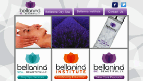 What Bellanina.com website looked like in 2017 (6 years ago)