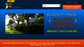 What Buckeyeplmg.com website looked like in 2017 (6 years ago)