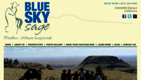 What Blueskysage.com website looked like in 2017 (6 years ago)