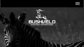What Bushveldhuntingadventures.com website looked like in 2017 (6 years ago)