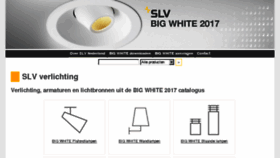What Big-white.nl website looked like in 2017 (6 years ago)