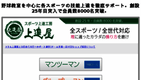 What Beta-e.co.jp website looked like in 2017 (6 years ago)