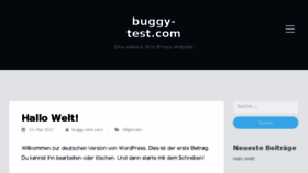 What Buggy-test.com website looked like in 2017 (6 years ago)