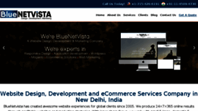What Bluenetvista.com website looked like in 2017 (6 years ago)