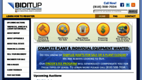 What Biditup.com website looked like in 2017 (6 years ago)