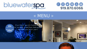 What Bluewaterspa.com website looked like in 2017 (6 years ago)