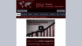 What Bni-hungary.com website looked like in 2017 (6 years ago)