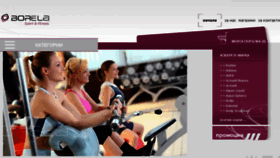 What Borela.net website looked like in 2017 (8 years ago)
