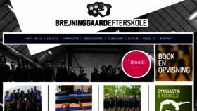 What Brejninggaard.dk website looked like in 2017 (6 years ago)