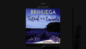 What Brihuega.es website looked like in 2017 (6 years ago)