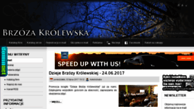 What Brzoza-krolewska.pl website looked like in 2017 (6 years ago)